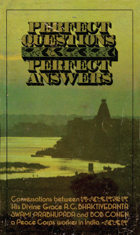 Perfect Questions, Perfect Answers book cover