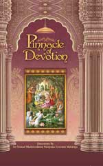 The Pinnacle of Devotion book cover